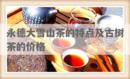 永德大雪山茶的特点及古树茶的价格