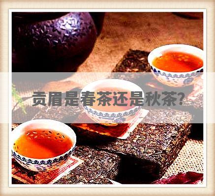 贡眉是春茶还是秋茶？