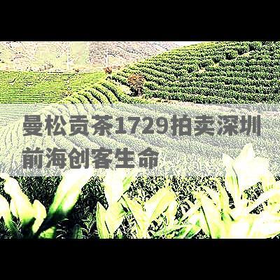 曼松贡茶1729拍卖深圳前海创客生命