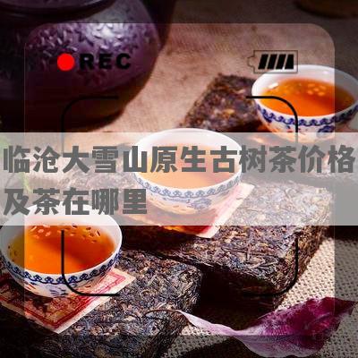 临沧大雪山原生古树茶价格及茶在哪里