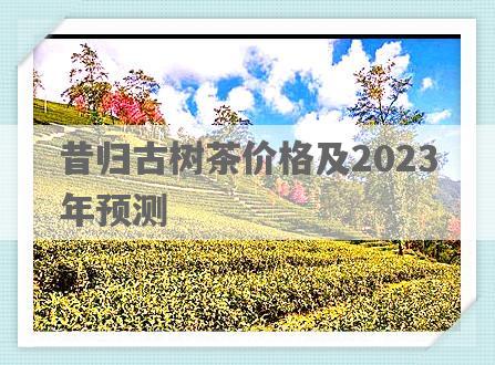 昔归古树茶价格及2023年预测