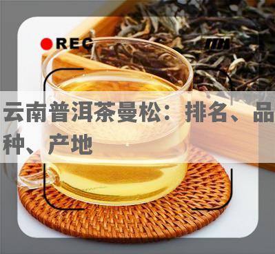 云南普洱茶曼松：排名、品种、产地
