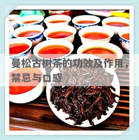 曼松古树茶的功效及作用，禁忌与口感