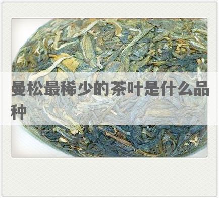 曼松最稀少的茶叶是什么品种