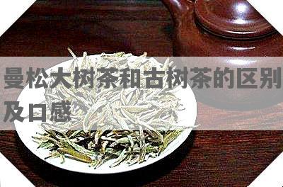 曼松大树茶和古树茶的区别及口感