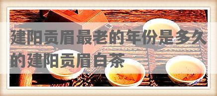 建阳贡眉最老的年份是多久的建阳贡眉白茶