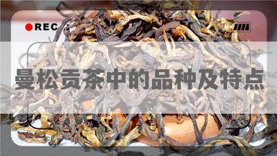 曼松贡茶中的品种及特点