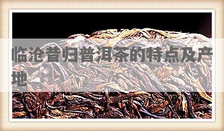 临沧昔归普洱茶的特点及产地