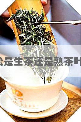 曼松是生茶还是熟茶叶好？