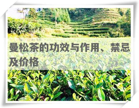 曼松茶的功效与作用、禁忌及价格