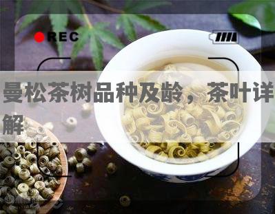 曼松茶树品种及龄，茶叶详解