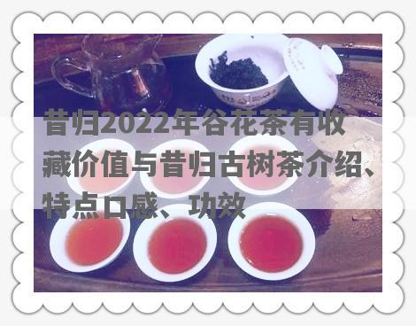 昔归2022年谷花茶有收藏价值与昔归古树茶介绍、特点口感、功效