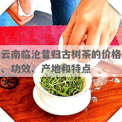 云南临沧昔归古树茶的价格、功效、产地和特点