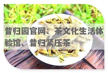 昔归园官网：茶文化生活体验馆、昔归紧压茶