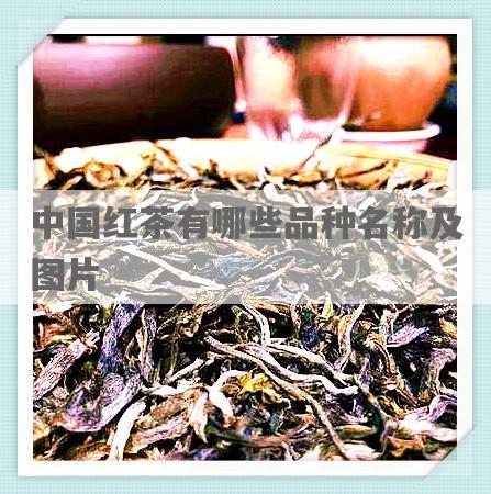 中国红茶有哪些品种名称及图片