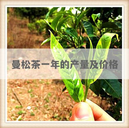 曼松茶一年的产量及价格