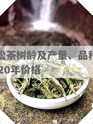 曼松茶树龄及产量、品种和2020年价格