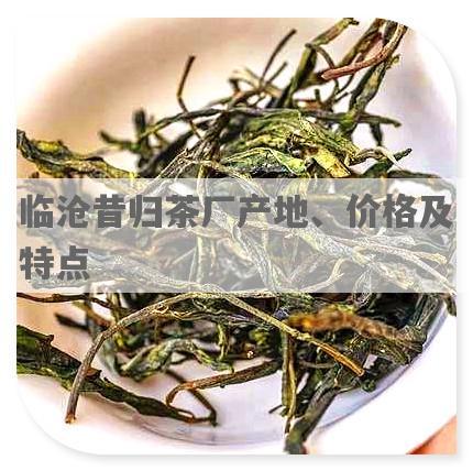 临沧昔归茶厂产地、价格及特点