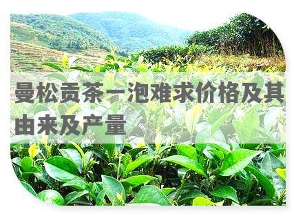 曼松贡茶一泡难求价格及其由来及产量