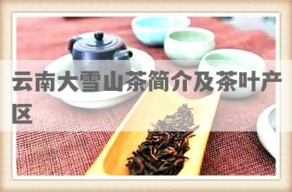 云南大雪山茶简介及茶叶产区