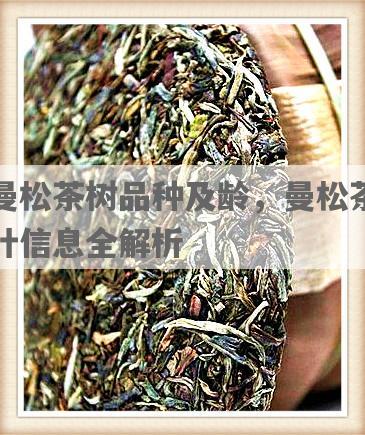 曼松茶树品种及龄，曼松茶叶信息全解析