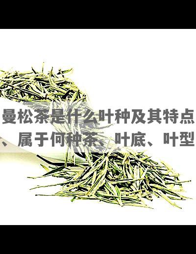 曼松茶是什么叶种及其特点、属于何种茶、叶底、叶型