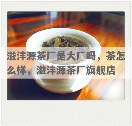 溢沣源茶厂是大厂吗，茶怎么样，溢沣源茶厂旗舰店
