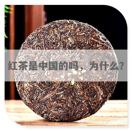 红茶是中国的吗，为什么？