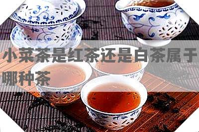 小菜茶是红茶还是白茶属于哪种茶