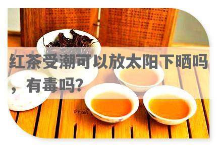 红茶受潮可以放太阳下晒吗，有毒吗？
