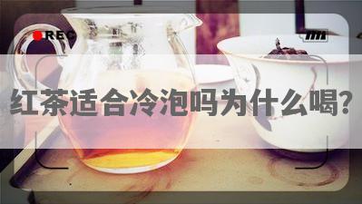 红茶适合冷泡吗为什么喝？