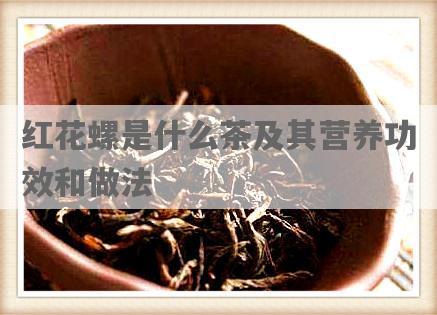 红花螺是什么茶及其营养功效和做法