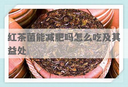 红茶菌能减肥吗怎么吃及其益处