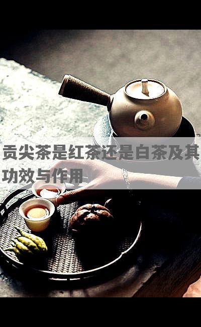 贡尖茶是红茶还是白茶及其功效与作用