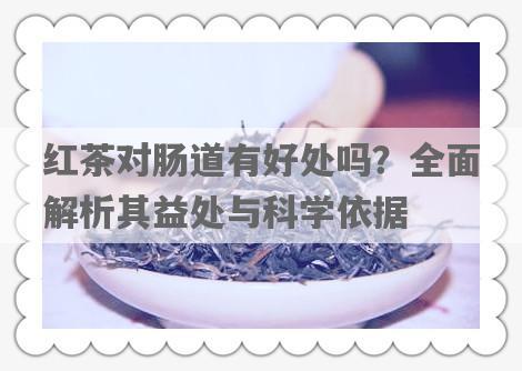 红茶对肠道有好处吗？全面解析其益处与科学依据