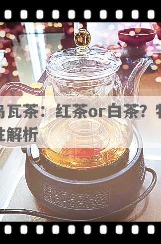 乌瓦茶：红茶or白茶？特性解析