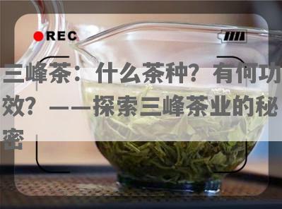 三峰茶：什么茶种？有何功效？——探索三峰茶业的秘密