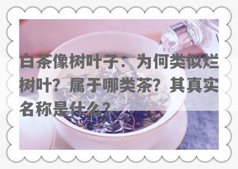 白茶像树叶子：为何类似烂树叶？属于哪类茶？其真实名称是什么？