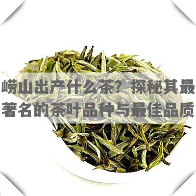 崂山出产什么茶？探秘其最著名的茶叶品种与更佳品质
