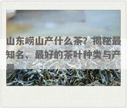山东崂山产什么茶？揭秘最知名、更好的茶叶种类与产量