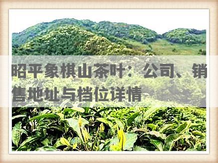 昭平象棋山茶叶：公司、销售地址与档位详情