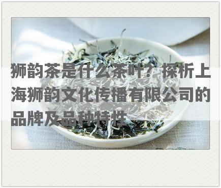 狮韵茶是什么茶叶？探析上海狮韵文化传播有限公司的品牌及品种特性