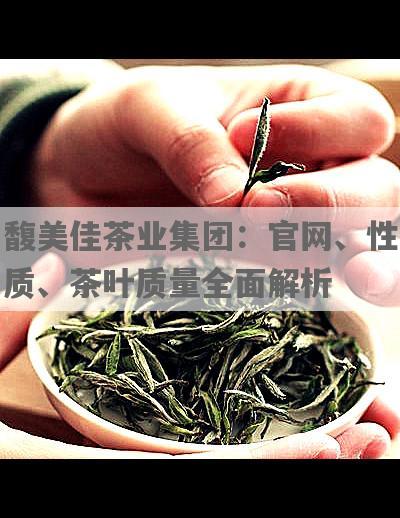 馥美佳茶业集团：官网、性质、茶叶质量全面解析