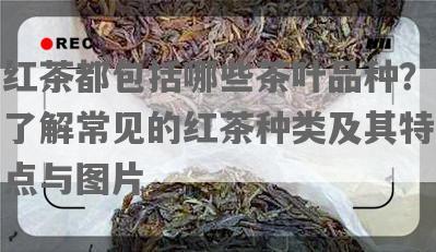 红茶都包括哪些茶叶品种？了解常见的红茶种类及其特点与图片
