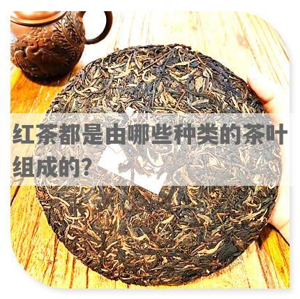 红茶都是由哪些种类的茶叶组成的？
