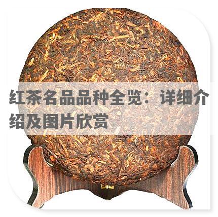 红茶名品品种全览：详细介绍及图片欣赏