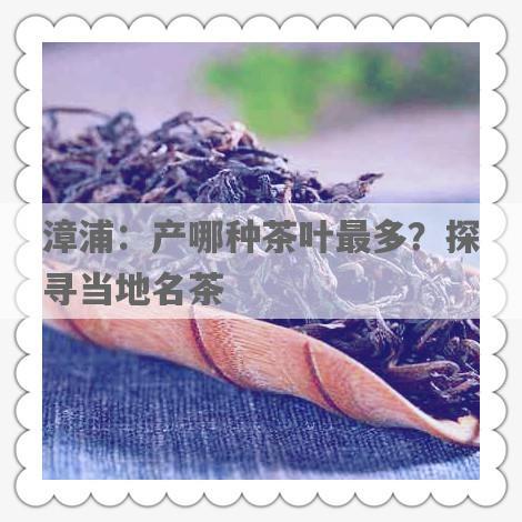 漳浦：产哪种茶叶最多？探寻当地名茶
