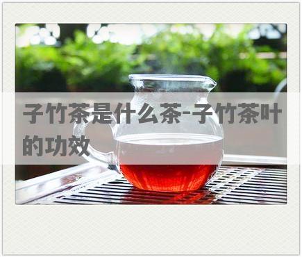 子竹茶是什么茶-子竹茶叶的功效