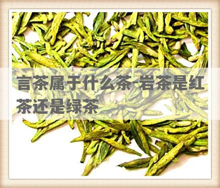 言茶属于什么茶-岩茶是红茶还是绿茶