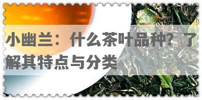 小幽兰：什么茶叶品种？了解其特点与分类